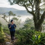 In Pu'er, Yunnan: The Bulang Guardians of Jingmai Mountain's Ancient Tea Forests