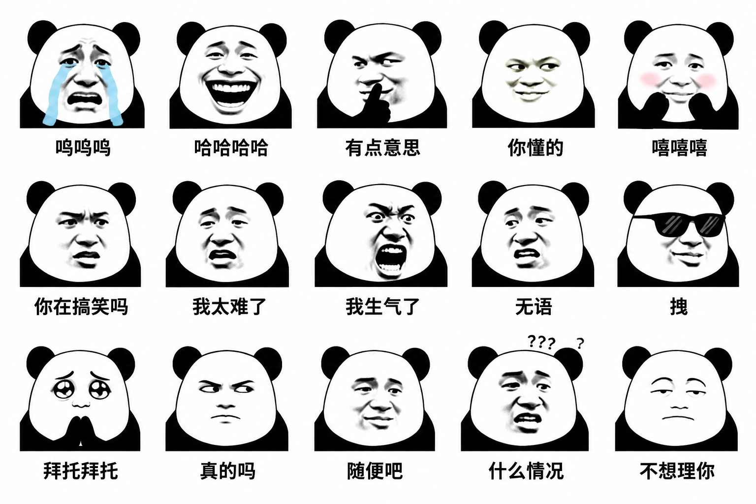 Panda head memes showing different emotions in a grid