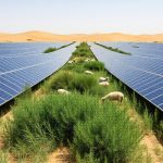 Desert Control and Solar Agriculture in Yulin: Green Transition of Maowusu?