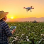 Drones Over Xinjiang Cotton Fields: A Farmer's High-Tech Diary