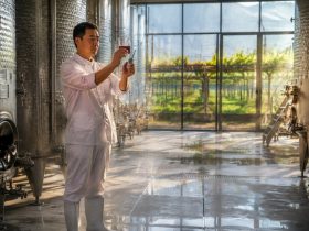 Ningxia Winery Workers: From Farmhands to Winemaker Assistants