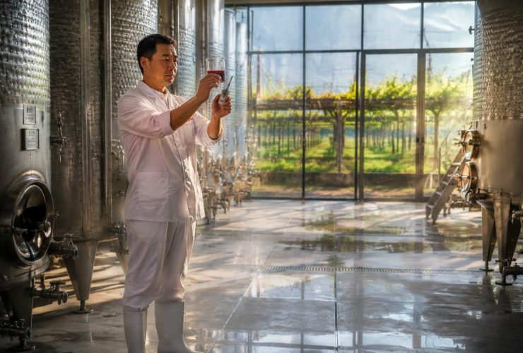 Ningxia Winery Workers: From Farmhands to Winemaker Assistants