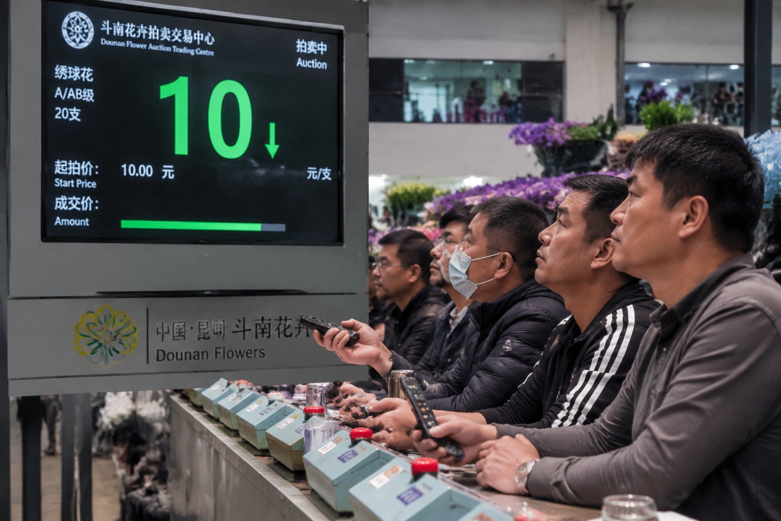 Buyers watch the auction clock at the Dounan flower market, one of the largest flower auctions in Asia.