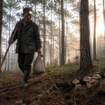 Matsutake Hunters: Why a Kilogram of Wild Mushroom Fetches a Fortune in Yunnan