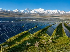 A Sea of Solar Panels: How Talatan Desert Became a Clean Energy Hub
