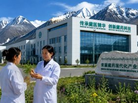 Modern Tibetan Medicine: From Snow Mountain Harvests to GMP Factories 24 Modern Tibetan Medicine: From Snow Mountain Harvests to GMP Factories