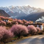 Peach Blossom Economy: How a Remote Tibetan Town Blooms with Tourists