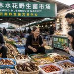 Yunnan's Wild Mushroom Mania: Why Locals Risk Poisoning for a Bite