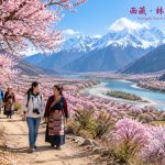 Peach Blossom Festival in Nyingchi: Blooms Paint the Valley, and a Monba Girl's E-Commerce Dream