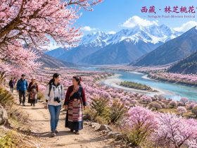 Peach Blossom Festival in Nyingchi: Blooms Paint the Valley, and a Monba Girl's E-Commerce Dream