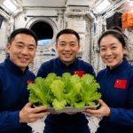 Space Gardening: How Chinese Astronauts Grow Fresh Vegetables on Tiangong