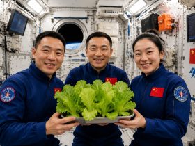 Space Gardening: How Chinese Astronauts Grow Fresh Vegetables on Tiangong