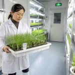 From Village to Laboratory: How a Female Scientist Changed China's Dinner Table with Seeds