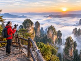 The Sandstone Pillars of Zhangjiajie: How a Real-Life Pandora Changed a Small City