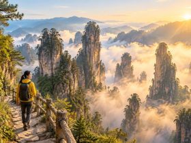 A Hiker's Guide to Zhangjiajie: Five Hidden Viewpoints Beyond the Crowds