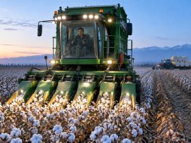 A Day on a Xinjiang Cotton Harvester: From Sunrise to Midnight