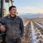 500 Mu, One Phone: A Day in the Life of a Xinjiang Farm Machine Operator