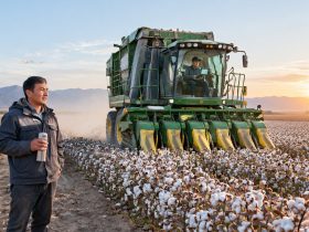 Why Xinjiang's Farmland Is Getting Quieter: Stories Behind Mechanization