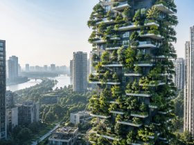 Inside the 'Vertical Forest' Apartments Where Residents Live in a Skyscraper Jungle