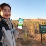 Ant Forest Miracle: How Hundreds of Millions of Chinese Planted Real Trees via Their Phones