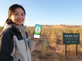 Ant Forest Miracle: How Hundreds of Millions of Chinese Planted Real Trees via Their Phones