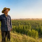 The Tree Planter: 40 Years of Fighting Sandstorms One Tree at a Time