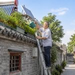 Rooftop Gardens and Solar Panels: The Green Transformation of Ordinary Beijing Alleys