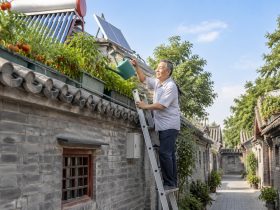 Rooftop Gardens and Solar Panels: The Green Transformation of Ordinary Beijing Alleys