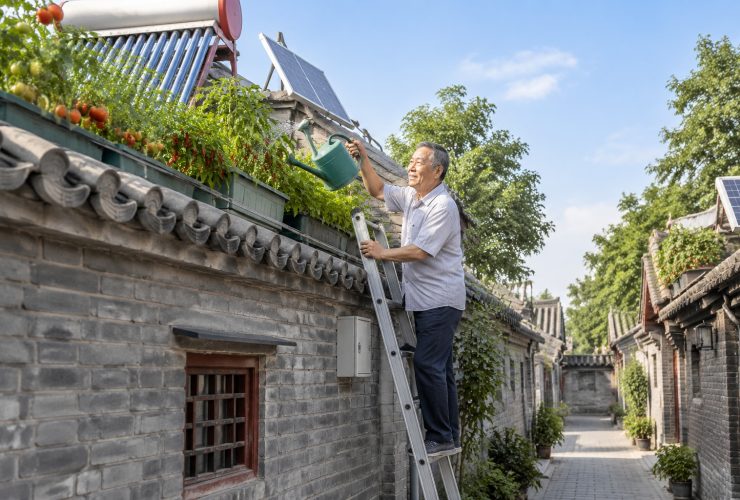 Rooftop Gardens and Solar Panels: The Green Transformation of Ordinary Beijing Alleys