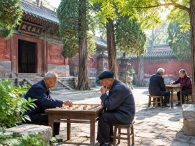 Beyond the Terracotta Warriors: A Local's Guide to Shaanxi's Hidden Ancient Gems 25 Beyond the Terracotta Warriors: A Local's Guide to Shaanxi's Hidden Ancient Gems