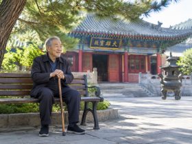 Traces of Time: Decoding the Architectural Aesthetics of Shaanxi's Ancient Sites