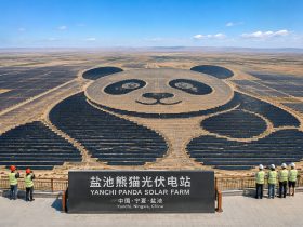 The Solar Farm Shaped Like a Panda (Yes, Really)