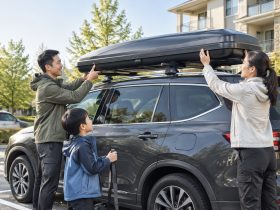 Hidden Champions of Auto Aftermarket: The Blue Ocean of Accessories and Services Driven by Chinese Road Trips