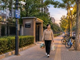 China's 'Skynet' Cameras: Surveillance or Protection? A Citizen's View