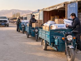 In Russia and Central Asia, Why a Chinese Trike Beats a Pickup Truck
