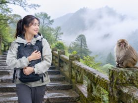 Do Mount Emei's Monkeys Really Steal Your Bag? I Tested It