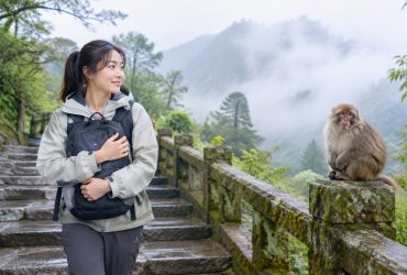 Do Mount Emei's Monkeys Really Steal Your Bag? I Tested It