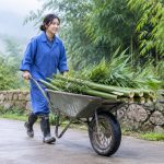 Being a Panda Keeper for a Day in Sichuan: Harder Than You Think, But Worth It