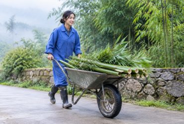 Being a Panda Keeper for a Day in Sichuan: Harder Than You Think, But Worth It 27 Being a Panda Keeper for a Day in Sichuan: Harder Than You Think, But Worth It