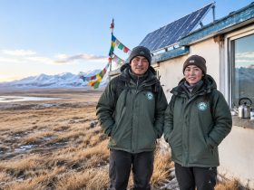 Hoh Xil: At 4,600 Meters, How Do the People Protecting Tibetan Antelopes Live?