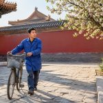 More Than the Main Halls: Restoring Artifacts and Petting Cats in the Forbidden City