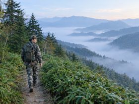 Where Do Pandas Live? A Map of Mountain Bamboo Forests