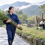 A Short History of Panda Diplomacy: From Gifts to Research