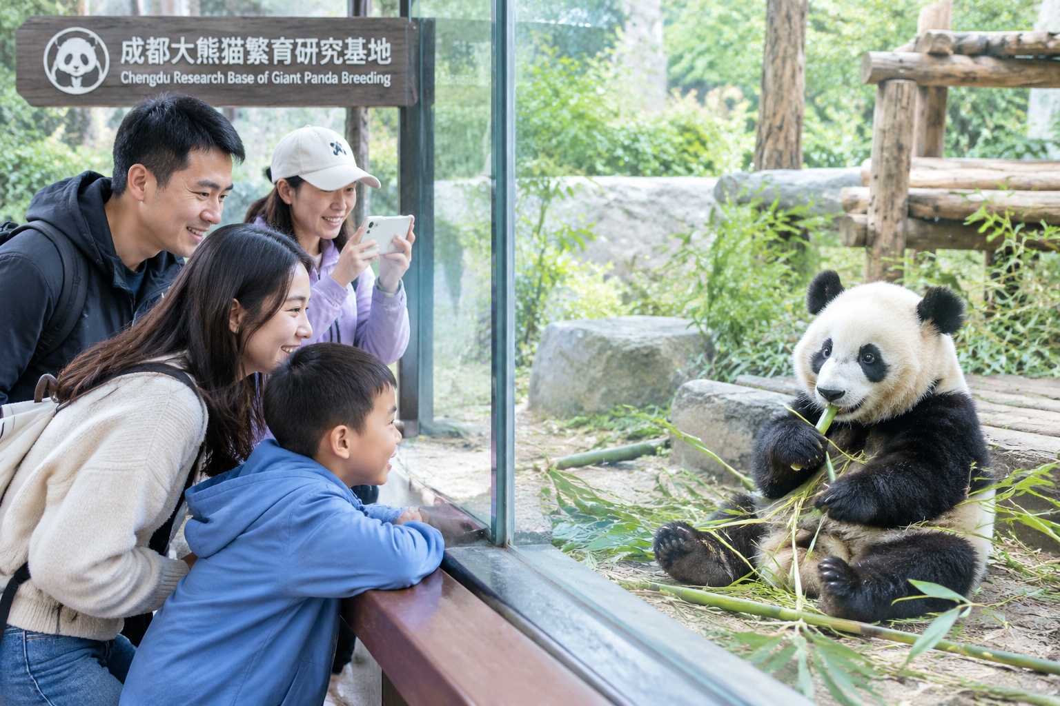 Why Pandas Became Global Cultural Icons 19 Why Pandas Became Global Cultural Icons