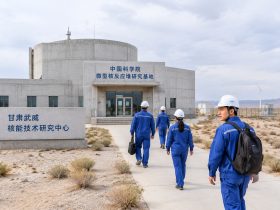 China’s Thorium Molten-Salt Reactor and the New Thorium-Uranium Fuel Cycle