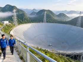 What FAST's Pulsar Haul Tells Us About China's Astronomy Output
