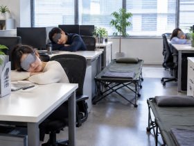 The Art of Disappearing: The Collective Noon Nap in Chinese Offices 35 The Art of Disappearing: The Collective Noon Nap in Chinese Offices