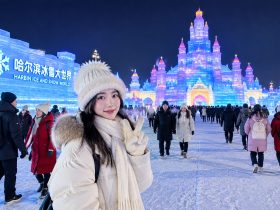 Surviving -30°C: The Ultimate Harbin Ice Festival and Siberian Tiger Route