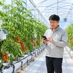 Shandong's Greenhouses: The Secrets Behind China's Vegetable Basket